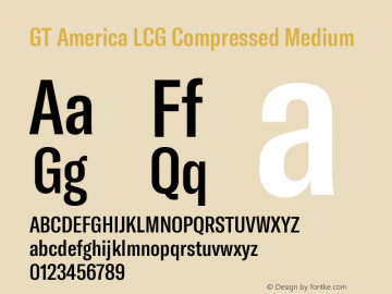 GT America LCG Cm Md Version 1.005 Font Sample