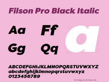 Filson Pro Black Italic 1.000 Font Sample