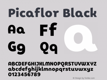 Picaflor Black Version 1.000 | wf-rip DC20210105图片样张