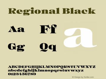 Regional Black Version 1.000图片样张