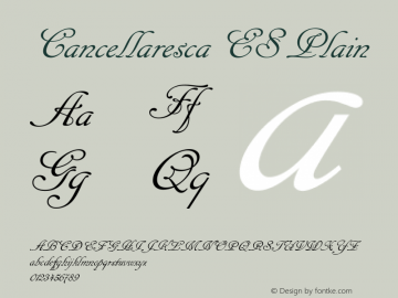 Cancellaresca ES Plain 1.48图片样张