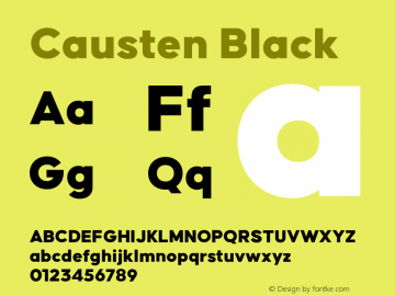 Causten Black Version 1.000;hotconv 1.0.109;makeotfexe 2.5.65596图片样张