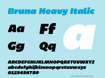 Bruna Heavy Italic Version 1.001;hotconv 1.0.109;makeotfexe 2.5.65596图片样张