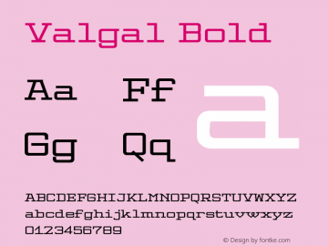 Valgal-Bold Version 1.04 2021 | web-TT图片样张
