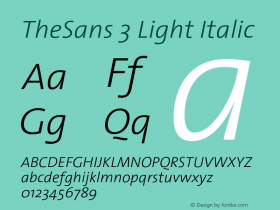 TheSans-3LightItalic 1.0 Font Sample