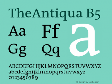 TheAntiqua-B5 001.000图片样张