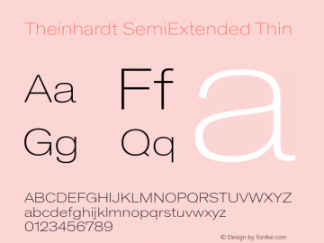 TheinhardtSemiExt-Thin Version 1.000 | wf-rip DC20190315图片样张