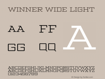 Winner Wide Light Version 1.104图片样张