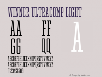 Winner UltraComp Light Version 1.104 Font Sample