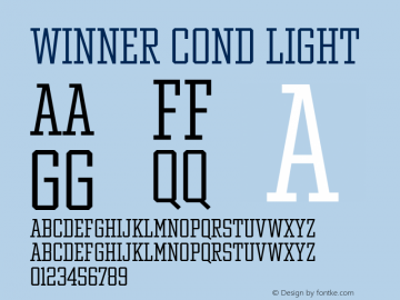 Winner Cond Light Version 1.104图片样张