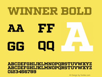 Winner Bold Version 1.104 Font Sample