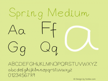 Spring Medium Version 001.000图片样张