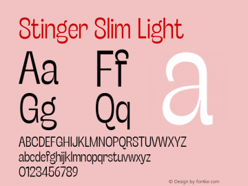 Stinger Slim Light Version 1.006;hotconv 1.0.109;makeotfexe 2.5.65596图片样张