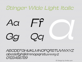 Stinger Wide Light Italic Version 1.006;hotconv 1.0.109;makeotfexe 2.5.65596 Font Sample