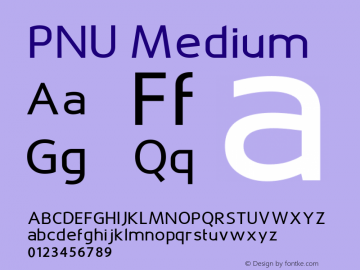 PNU Medium Version 1.000图片样张