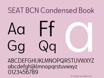 SEAT BCN Condensed Book Version 2.000图片样张