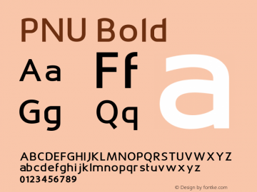 PNU Bold Version 1.000 Font Sample