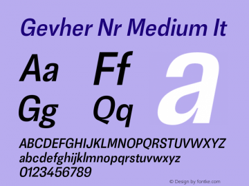 GevherNr-MediumIt 1.000 Font Sample