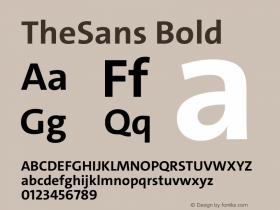 TheSans Bold Version 2.000 | w-rip DC20190805 Font Sample