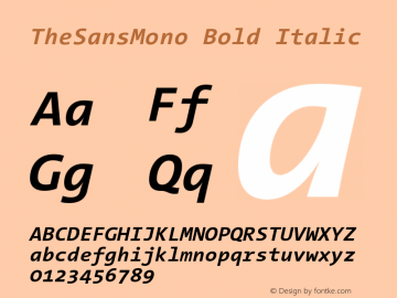 TheSansMono-BoldItalic Version 3.011 | w-rip DC20190625 Font Sample