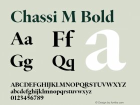 ChassiM-Bold Version 1.000 Font Sample