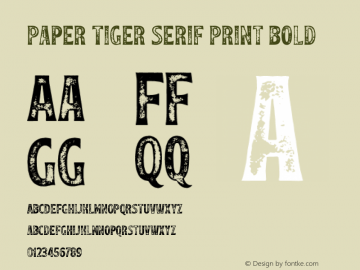 PaperTigerSrfP-Bold Version 1.000 | wf-rip DC20200915图片样张