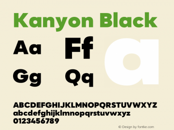 Kanyon-Black Version 1.000 | wf-rip DC20200905图片样张