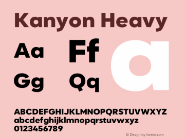Kanyon-Heavy Version 1.000 | wf-rip DC20200905图片样张