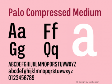 Palo-CompressedMedium Version 1.000;hotconv 1.0.109;makeotfexe 2.5.65596图片样张