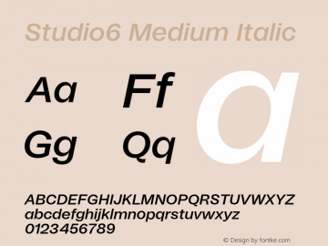 Studio6 Medium Italic Version 1.002;hotconv 1.0.109;makeotfexe 2.5.65596图片样张