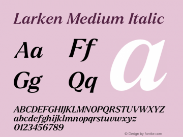 Larken Medium Italic Version 1.000;hotconv 1.0.109;makeotfexe 2.5.65596 Font Sample