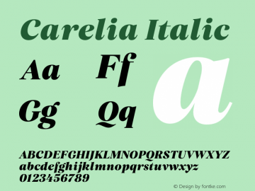 Carelia Italic Version 1.000;hotconv 1.0.109;makeotfexe 2.5.65596图片样张