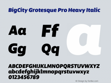 BigCity Grotesque Pro Heavy Italic Version 1.005;PS 1.1;hotconv 1.0.88;makeotf.lib2.5.647800图片样张
