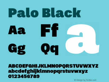 Palo-Black Version 1.000;hotconv 1.0.109;makeotfexe 2.5.65596图片样张