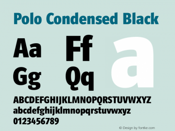 Polo Condensed Black 2.001 Font Sample