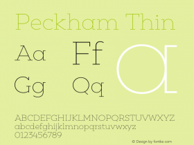 Peckham Thin Version 1.001;PS 001.001;hotconv 1.0.88;makeotf.lib2.5.64775 Font Sample