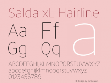 SaldaxL-Hairline Version 1.000 | wf-rip DC20200810 Font Sample