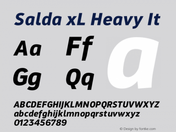 SaldaxL-HeavyIt Version 1.000 | wf-rip DC20200810图片样张