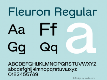 Fleuron Version 1.000;PS 001.000;hotconv 1.0.88;makeotf.lib2.5.64775图片样张