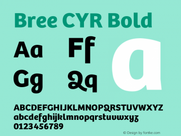 Bree CYR Bold Version 2.000;hotconv 1.0.109;makeotfexe 2.5.65593 Font Sample