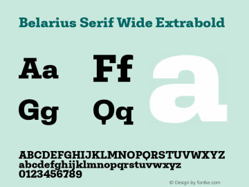 Belarius Serif Wide Eb Version 1.001; ttfautohint (v1.8.3)图片样张