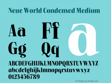 Neue World Condensed Medium Version 1.000;hotconv 1.0.109;makeotfexe 2.5.65596图片样张