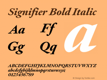 Signifier-BoldItalic Version 1.004 | w-rip DC20200715图片样张