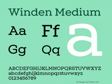 Winden Medium Version 1.000;hotconv 1.0.109;makeotfexe 2.5.65596 Font Sample