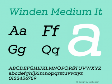 Winden Medium It Version 1.000;hotconv 1.0.109;makeotfexe 2.5.65596 Font Sample