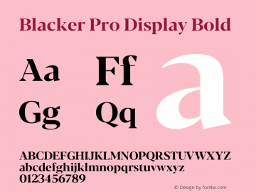 Blacker Pro Display Bold Version 1.000;hotconv 1.0.109;makeotfexe 2.5.65596 Font Sample