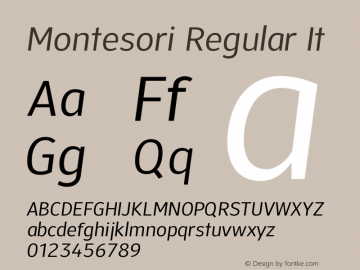 Montesori Regular It Version 1.010 | wf-rip DC20200605图片样张