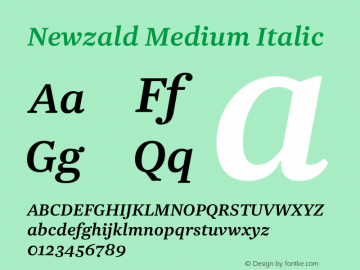 Newzald-MediumItalic Version 1.003 | wf-rip DC20200405图片样张