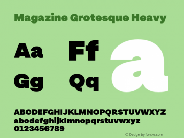 Magazine Grotesque Heavy Version 2.000;hotconv 1.0.109;makeotfexe 2.5.65596图片样张