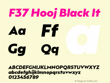 F37 Hooj Black It Version 1.000;hotconv 1.0.109;makeotfexe 2.5.65596图片样张